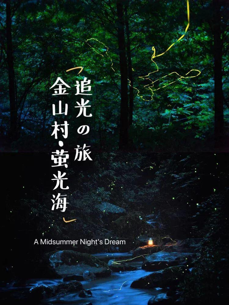 可爱啄木鸟逃脱