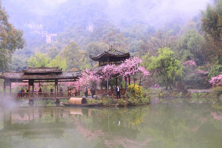10岁磕到牙30岁才修复 医生：要定期口腔检查
